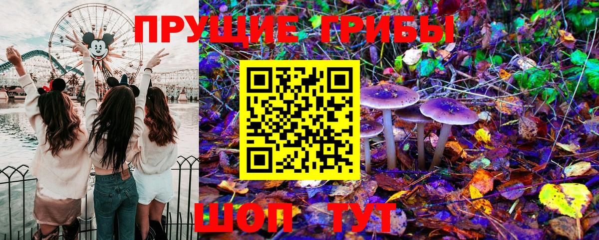 Галлюциногенные грибы Cubensis Фурманов